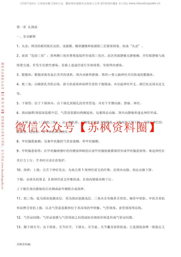 局部解剖学